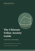 The Ultimate Cat Anxiety Guide (Digital Download)